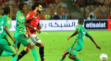 تفوق كاسح.. تاريخ مواجهات مصر وجيبوتي يمنح الفراعنة الأفضلية قبل موقعة تصفيات المونديال 1